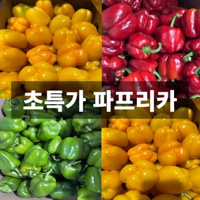 초특가 국내산 파프리카 가정용 못난이 노란 초록 빨간 혼합, 1개, 5kg (3색 혼합)