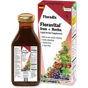 Floadix Floavital Ion Hebes 액체 에너지 쉽게 흡수되는 NonGMO 락토스 프리 무향료 8.5, 250ml, 1개