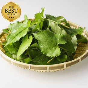 맑은마켓 재구매율1위 하동 지리산 취나물, 1박스, 1kg