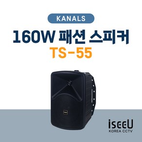 카날스 TS-55 160W 패션 앰프 스피커 1개, 블랙