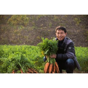 [홍성유기농] 2025년 국내산 친환경 유기농 무농약 당근 당근(상)3kg 당근(상)5kg 즙용당근3kg 즙용당근5kg), 1박스, 3kg, 유기농