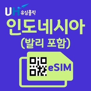 유심홀릭 인도네시아 텔콤셀 이심 eSIM 데이터 FM e심