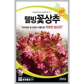 웰빙꽃상추 씨앗 3000립 채소씨앗 쌈채소 채소씨 나물씨 맛있는 상추 식물세계, 1개