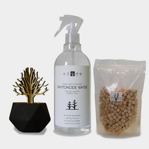 푸른숲편백 산림욕 피톤치드워터 실내 탈취제, 1개, 500ml 산림욕세트(블랙), 500ml