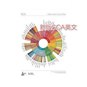 커피 플레이버 카페 커피향미표 영문 플레이버휠 단품, 6 SCA 프리미엄 스칼프 휠 영문