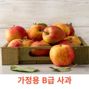 경북 고당도 꿀사과 가정용 A급, 5개, 1kg