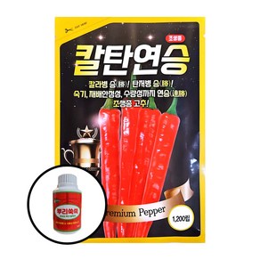 2023 칼탄연승 1200립 복합내병계 고추 종자 씨앗 뿌리쑥쑥250ml 농사친구 세트, 칼탄연승1200립+뿌리나원500ml, 1개