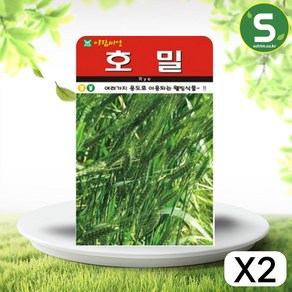 솔림텃밭몰 호밀씨앗 30g 호밀 웰빙식물 씨앗 종자, 2개