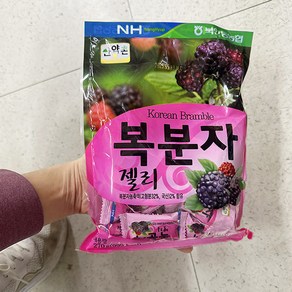 캔디사은품 + 산약촌 복분자 젤리, 1개, 270g