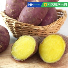 [안동와룡농협] 믿고 먹는 꿀맛나는 꿀고구마 (중량선택), 믿고 먹는 꿀고구마 (중상품) 5kg, 1박스