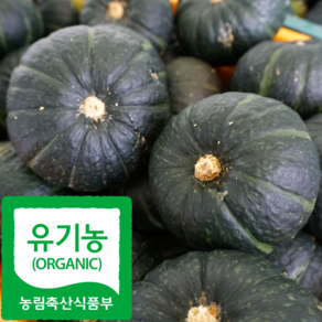 산지직송 국내산 유기농 단호박 밤호박, 1개, 6kg