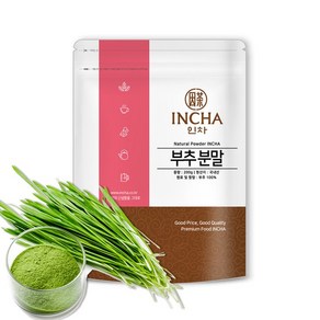 국내산 부추 분말 가루 파우더 차 200g 조미료, 1개