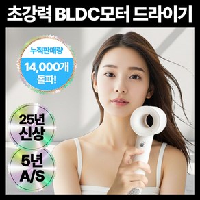 프랑스 BLDC 초고속 음이온 초경량 헤어 드라이기 거치대 노즐 포함 브러시리스 전문가용 1400W