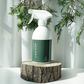 페인트인포 올바른 고농도 편백수 스프레이 탈취제, 500ml, 1개