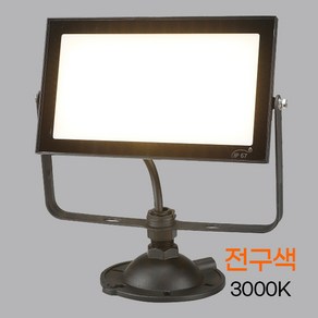 비츠온 LED 투광기 50W