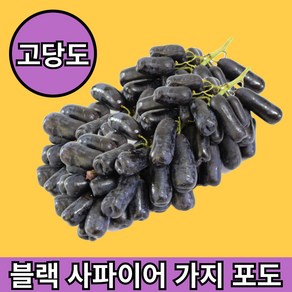 청년고집 고당도 블랙 사파이어 가지 포도 1kg 2kg