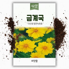 씨앗팜 야생화 꽃씨 금계국 종자 씨앗 (400립) 국화과 여러해살이 다년생, 1개