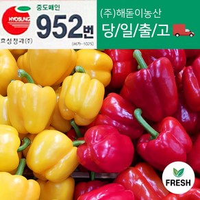 <해돋이농산> 국내산 못난이 파프리카 노랑 1kg 2kg 1박스(4.5kg내외)