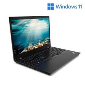 레노버 2021 ThinkPad L15 GEN2, 블랙, 코어i7 11세대, 256GB, 8GB, Fee DOS, 20X3S04U00