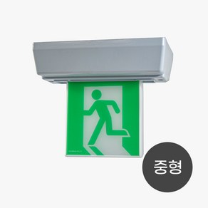 피난유도등 천장 중형 단면 안내판 사인 EXIT 표지판 가로 축광, 1개