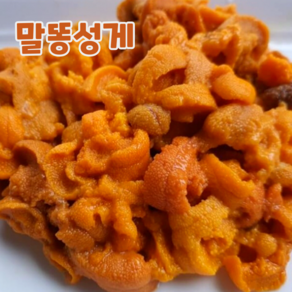 산지직송 포항 우니 보라성게 성게알, 200g, 1개