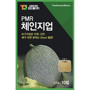 더드림 체인지업 멜론씨앗 멜론종자 / 숙기걱정없이 때가되면 색이변하는 스마트 멜론씨, 1개