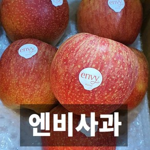 나만의건강by설리마켓 고당도 프리미엄 엔비 사과 가정용 3kg 5kg 10kg