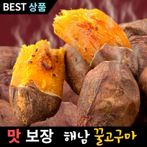 지애랑 산지직송 해남 베니하루카 꿀고구마 무농약, 1박스, 3kg(중)