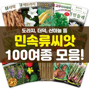 각종 민속류 씨앗 모음 더덕 도라지 당귀 나물 고수 약초 산채 씨 종자, 28-쑥1만립, 1개