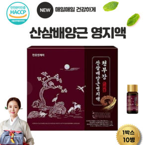 천부강 산삼 배양근 영지액 75ml x 10병 쇼핑백 포함, 750ml, 1개