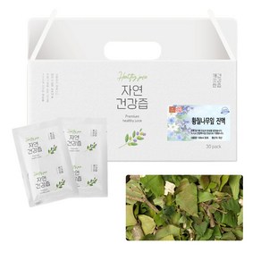 국산 황칠잎 황칠나무잎 차 즙 건강즙 진액 엑기스 액기스 100ml 30개입, 3L, 1개