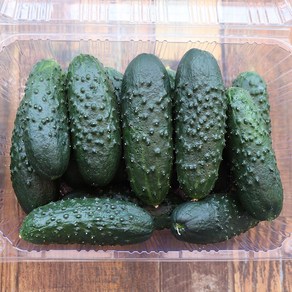 미니오이 2kg, 1개, 02.미니오이 [글로리아] 2kg