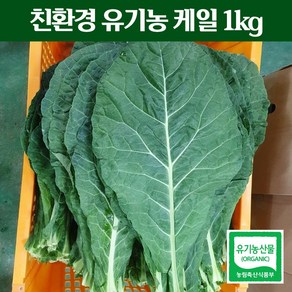 친환경 유기농 케일 1kg (녹즙용 주스용 스무디용 샐러드용 녹즙재료)