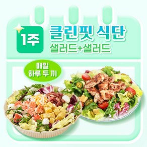 [포켓샐러드] 샐러드 1주 클린핏 식단/ 하루 두 끼 샐러드 관리 (총 12팩), 245g, 12개