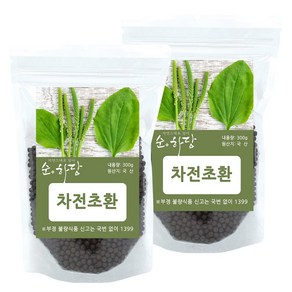 순하당 국산 차전초환 (질경이환)