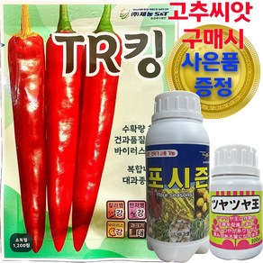 TR킹 티알킹 고추씨앗 1200립 고추씨 중조생종 극대과 복합내병계 탄저병 칼라병 제농, 1개