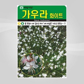 슬로시 꽃 씨앗 고급 꽃씨 야생화 허브씨 종자 모음, 1개