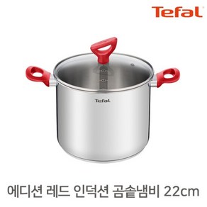 테팔 곰솥 냄비 22cm / 에디션레드 인덕션 스텐 찌개 신혼 자취, 단품, 1개