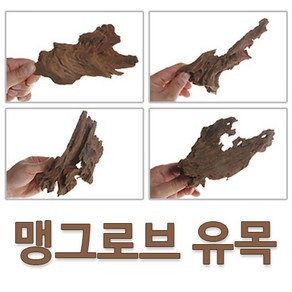 맹그로브 유목 '소' 3개 세트 (13~18CM)