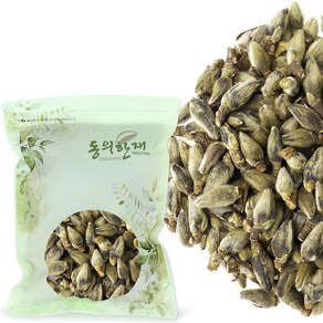 동의한재 국산 신이화 목련꽃봉우리, 100g, 1개