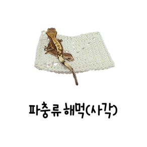 파충류 해먹 사각 손뜨개 뜨개질 붙이류 도마뱀 크레스티드게코 크레 반려동물 반짝CR