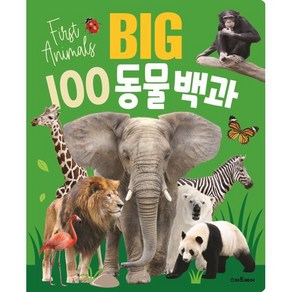 BIG 100 동물백과