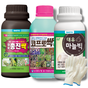 대유 총진싹+코프로싹s+마늘빅 500ml 마늘 양파 고자리파리 노균 흑색썩음 균핵병 비대+장갑증정, 1개