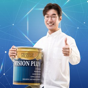 우드케어 오일스테인 vision 4리터, 1개