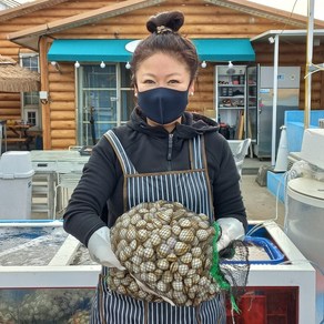 서천 산지직송 신선한 동죽 (물총조개), 1박스, 동죽 3kg