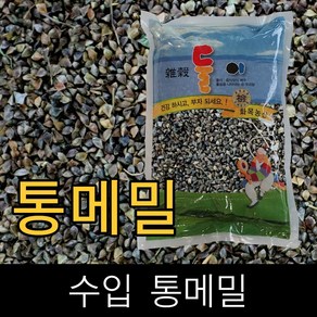 둘이 . 수입 . 메밀(통메밀) . 5kg . 2023년산 ., 1개