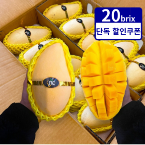 [호텔 납품] 프리미엄 태국 골드 망고 mango, 2kg (5과 내외), 1박스