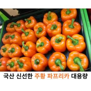 국내산 신선한 주황 파프리카 1kg 5kg 가정용 업소용 대용량 싱싱한 국산 파프리카 못난이 주황 피망