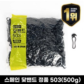 밴덱스 가지유인 결속 닻밴드 500g, 503, 1개