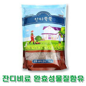 자재스토어 잔디비료 완효성비료 물질 함유 골프장 산소 잔디 전용 영양제, 1개, 2kg